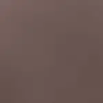 Brown Color