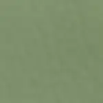 Sage Color