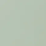 Mint Color
