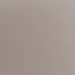 Taupe Color