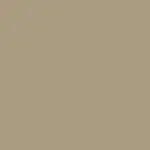 Taupe Color