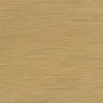 Champagne Frame Color