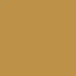 Mustard Yellow Color