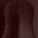 Dark Cherry Maple Finish