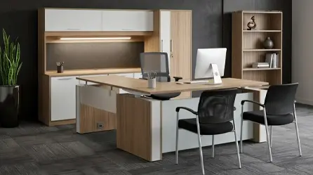 Executive Offices