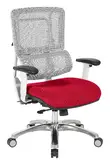 Ergonomic Chair