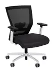 Ergonomic Computer Chairs