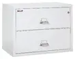 2 Drawer Fireproof File Cabinet