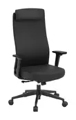 Tall Ergonomic Office Chair