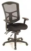 Mesh Back Task Chair with Arms