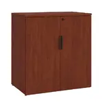 Office Storage Cabinet