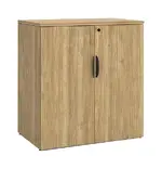 Office Storage Cabinet