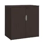 Office Storage Cabinet