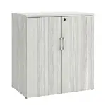 Office Storage Cabinet