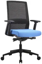 Mesh Back Task Chair with Blue Seat Cover