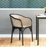 Modern Rattan Armchair