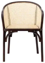 Modern Rattan Armchair