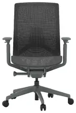 Ergonomic Office Chair
