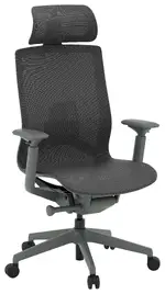 Ergonomic Office Chair with Headrest