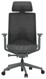 Ergonomic Office Chair with Headrest