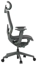 Ergonomic Office Chair with Headrest