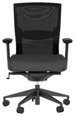Ergonomic Office Chair