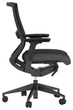 Ergonomic Office Chair