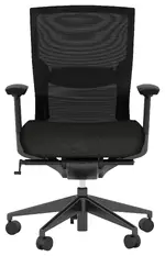 Ergonomic Office Chair