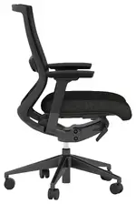 Ergonomic Office Chair