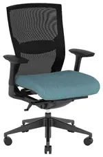 Ergonomic Office Chair