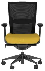 Ergonomic Office Chair