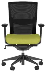 Ergonomic Office Chair