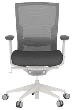 Ergonomic Office Chair