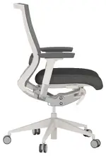 Ergonomic Office Chair