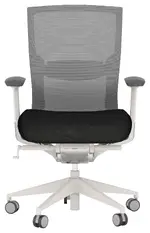 Ergonomic Office Chair