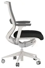 Ergonomic Office Chair