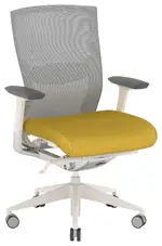 Ergonomic Office Chair