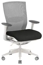 Ergonomic Office Chair