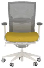 Ergonomic Office Chair