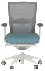 Ergonomic Office Chair
