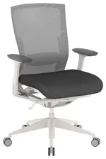 Ergonomic Office Chair