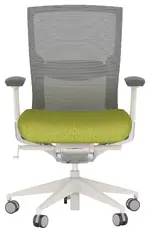 Ergonomic Office Chair