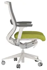Ergonomic Office Chair