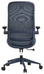 Ergonomic High Back Office Chair