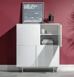 Modern Glossy Cabinet