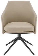 Swivel Accent Chair