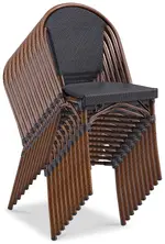 Mid-Century Modern Side Chair - Set of 2