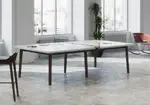 Ping Pong Table