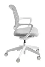 Mesh Back Office Chair