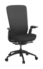 Ergonomic Desk Chair